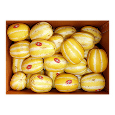 참외(국내산) 10kg(박스)