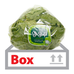 양상추(국내산) 12입(박스)