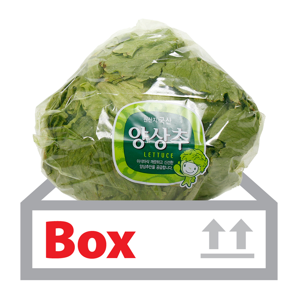 양상추(국내산) 12입(박스)