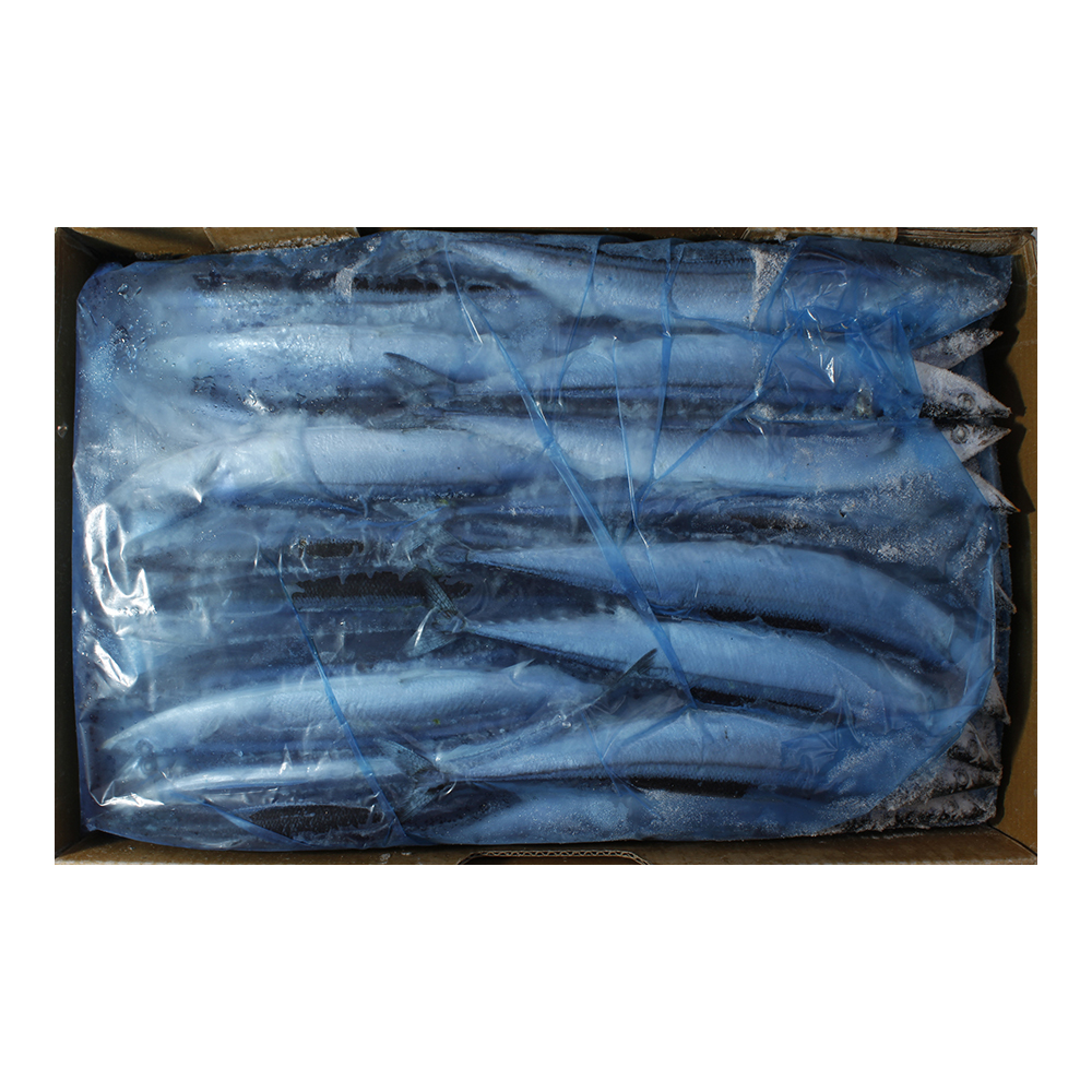 꽁치1번(대만산) 8.8kg(박스)
