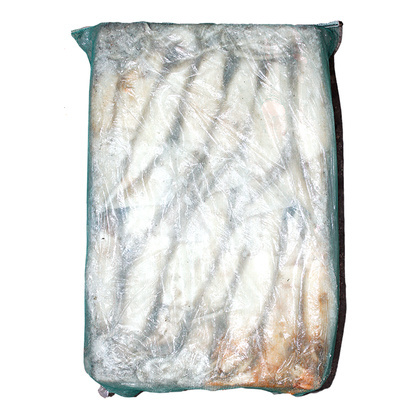 선동오징어(원양산) 20kg