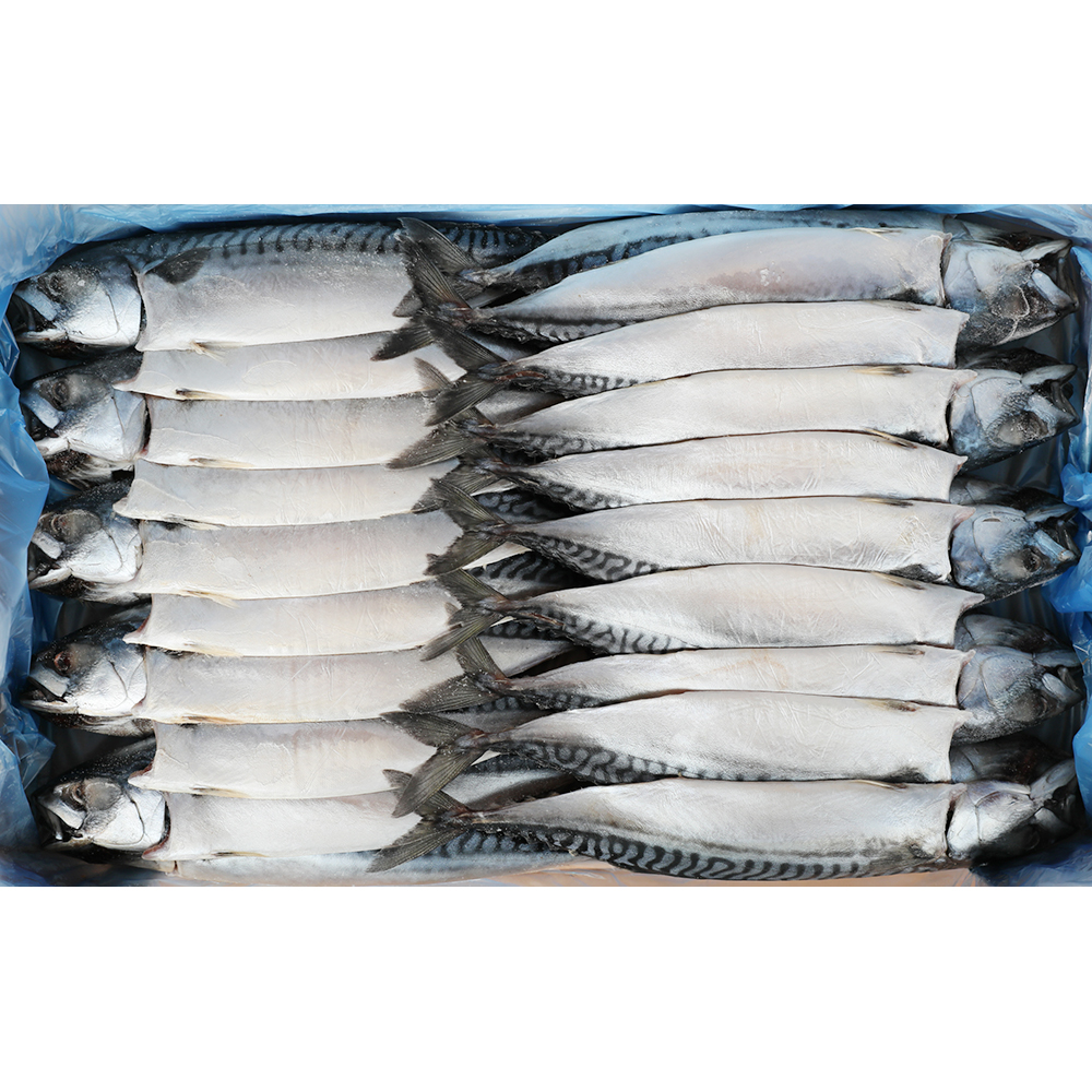 자반고등어(노르웨이산) 10손(대)