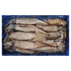 육동오징어 3kg(9~10미)