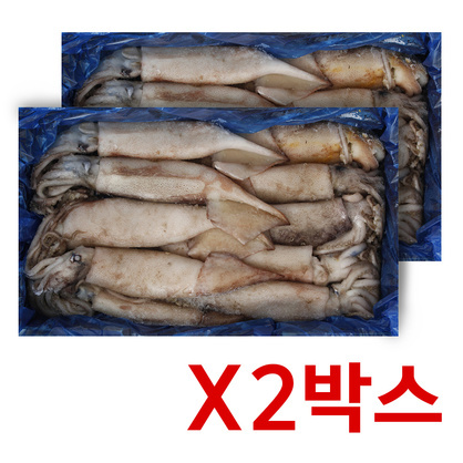 육동오징어 3kg(9~10미) 2박스