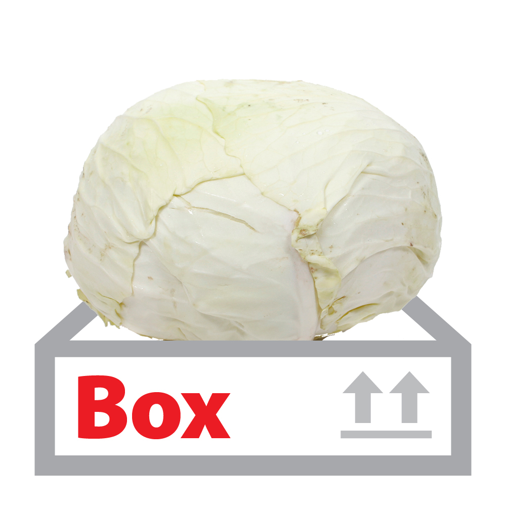 양배추(국산) 3통(망)