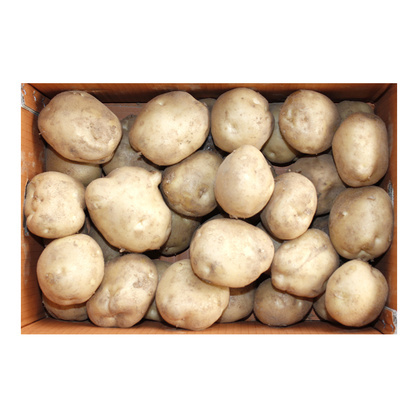 햇감자(국산) 10kg(박스)