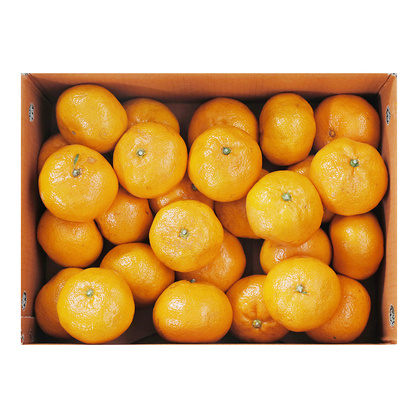 밀감(국산,2L) 5kg(박스)