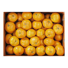 밀감(국산,L) 5kg(박스)