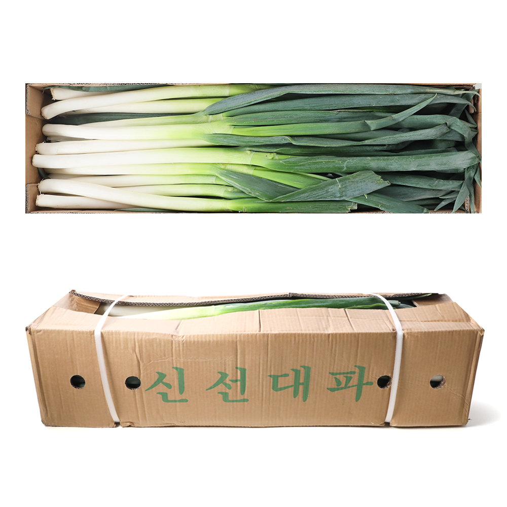 대파(중국산) 10kg