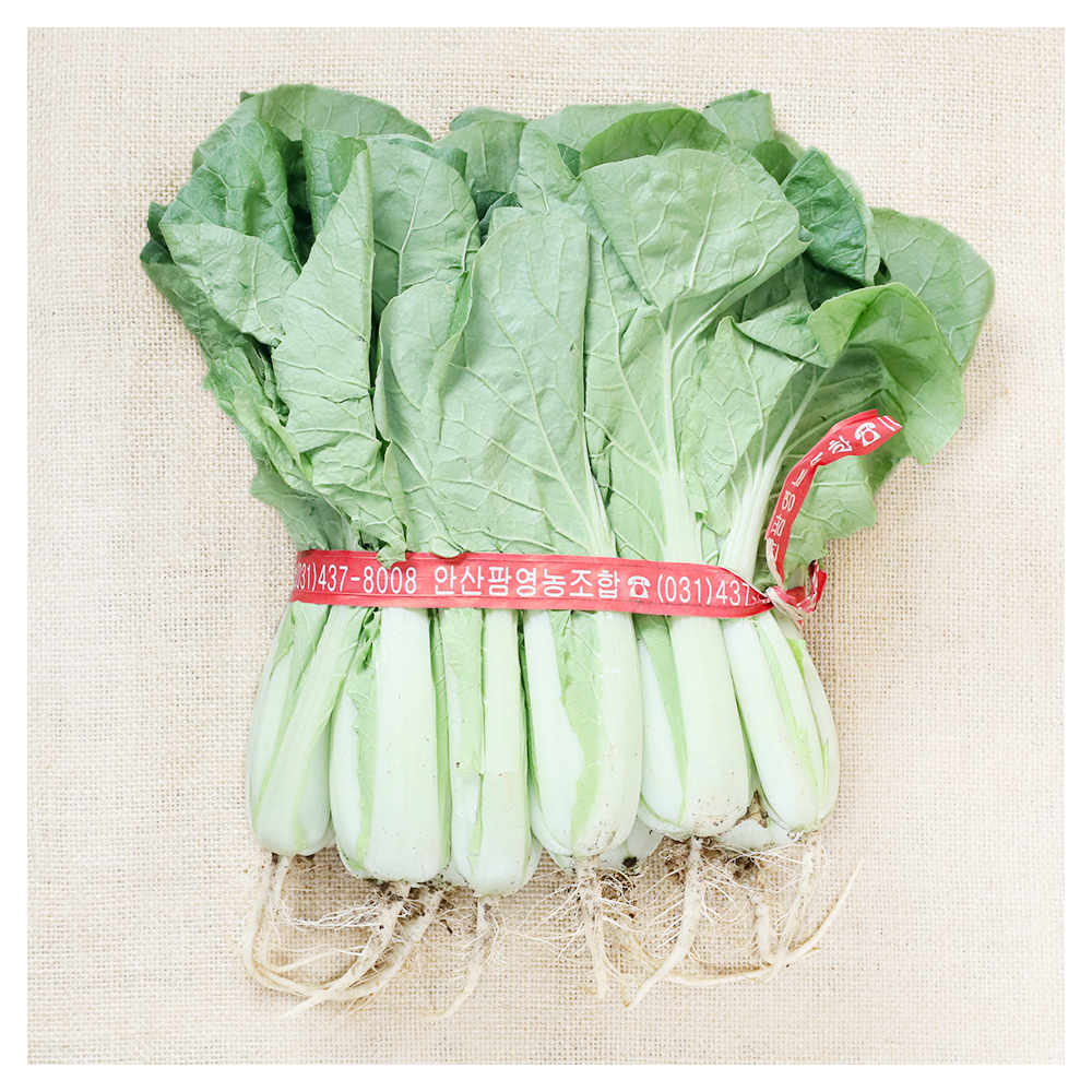 <b>[주문예약]</b> 얼갈이배추(국내산) 1단