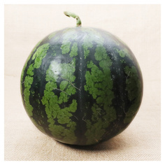 수박(국내산) 1통(4.5kg)이상