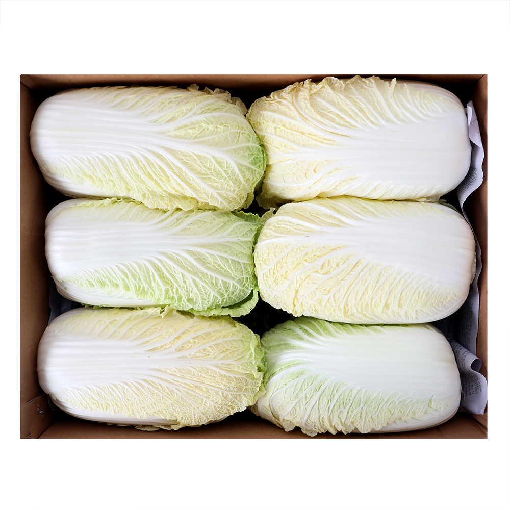 알배기(국내산,특) 8kg(박스)