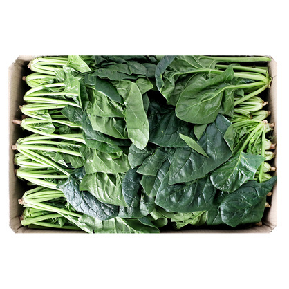 시금치(국산) 4kg(박스)