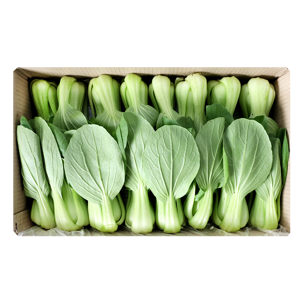 청경채(국내산) 4kg(박스)