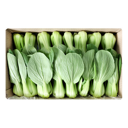 청경채(국내산) 4kg(박스)