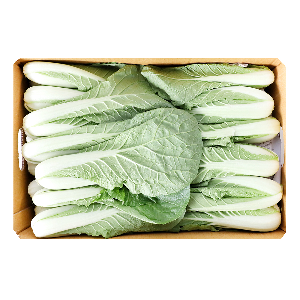 얼갈이배추(국내산) 4kg(박스)