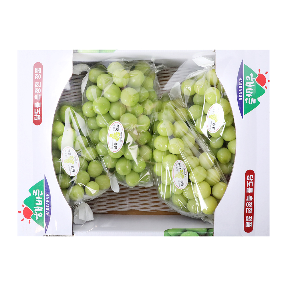 샤인머스켓(4수) 4kg