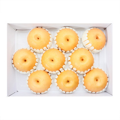 배선물세트 5kg(9과)