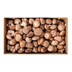 표고버섯(중국산) 4kg(박스)