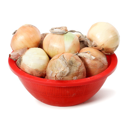 다라이양파(국내산)