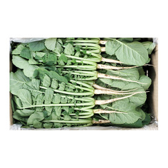 열무(국내산) 4kg(박스)