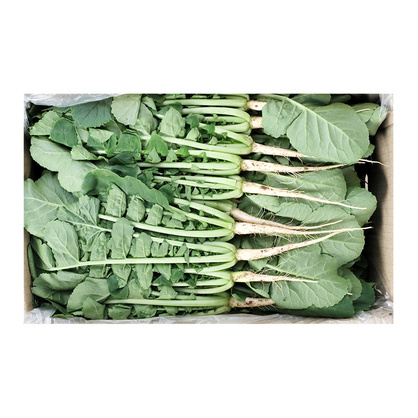 열무(국내산) 4kg(박스)