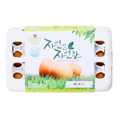 자연란 15구