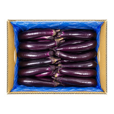 가지 5kg(박스)