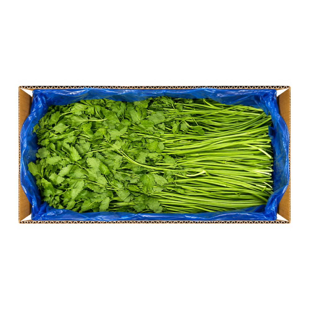 돌미나리 4kg(박스)