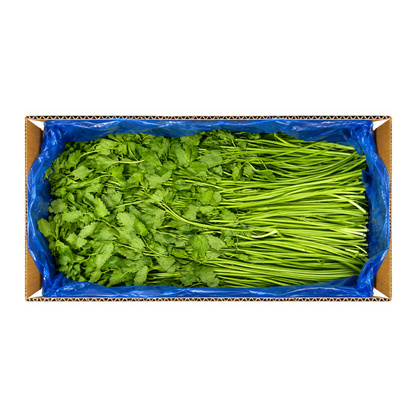 돌미나리 4kg(박스)