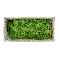 순바라깻잎 4kg(박스)