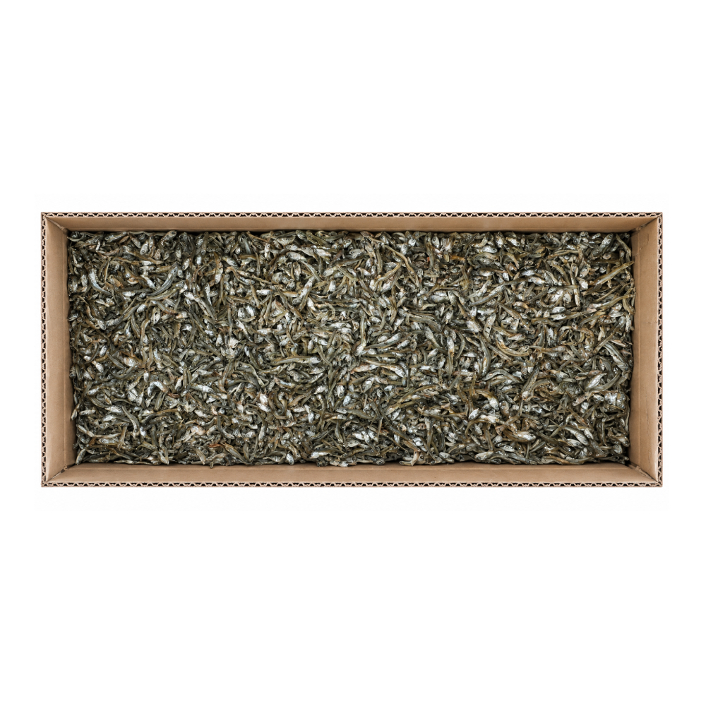 멸치(가이리B/볶음멸치/국산) 1.5kg