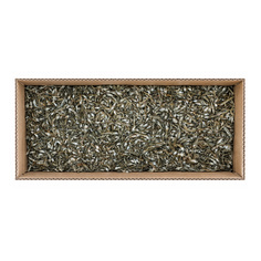 멸치(가이리B/볶음멸치/국산) 1.5kg